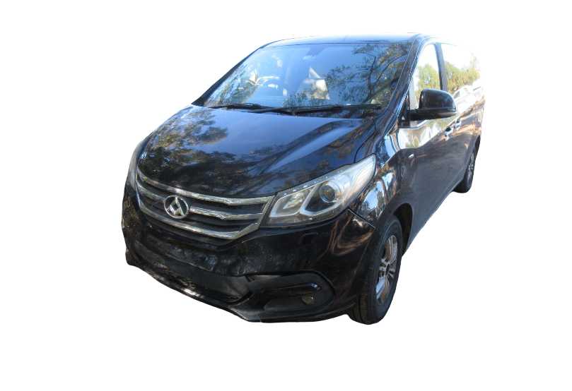 LDV G10