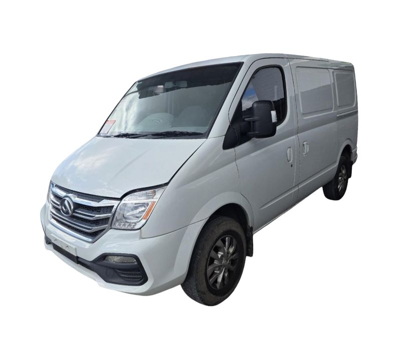LDV V80