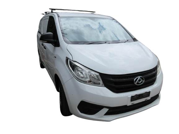 LDV G10