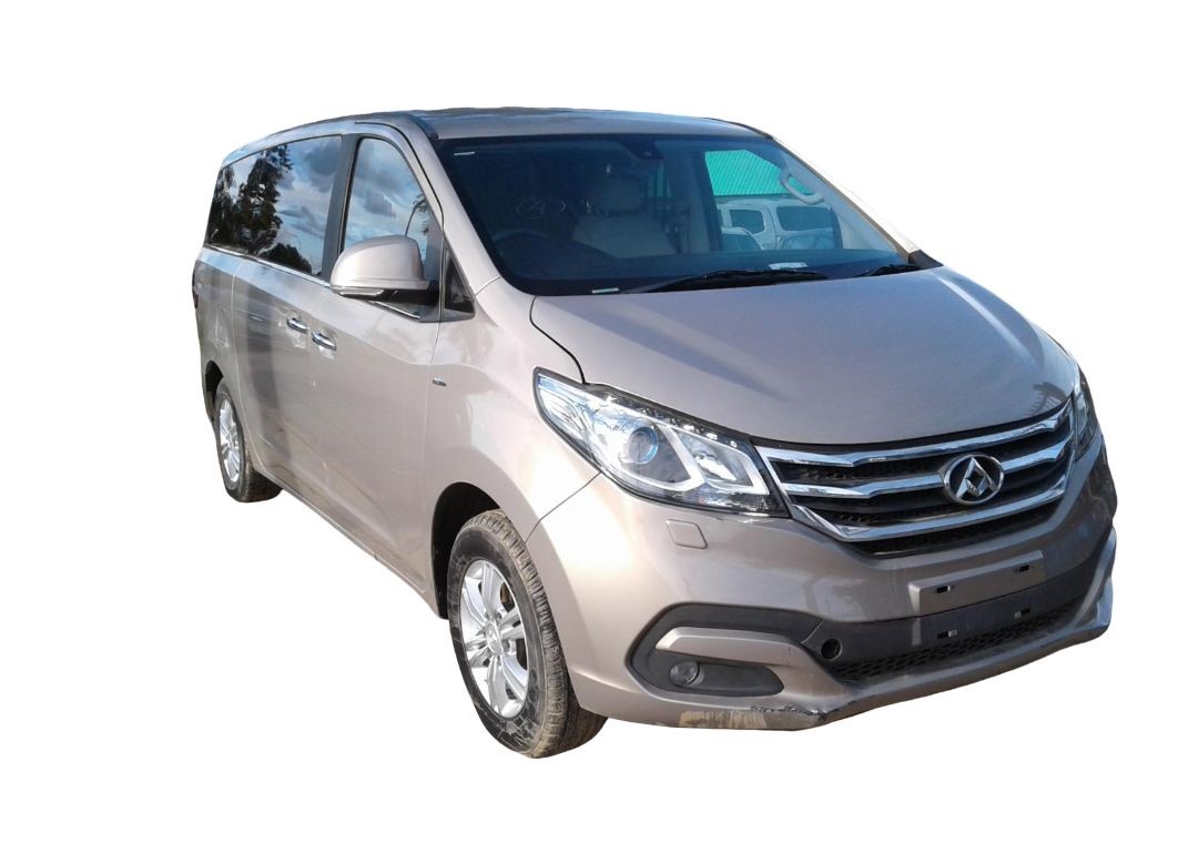 LDV G10