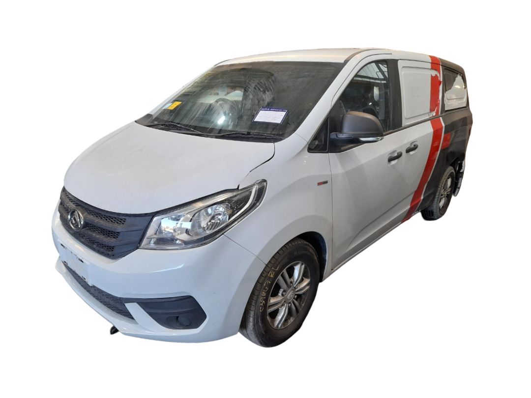 LDV G10
