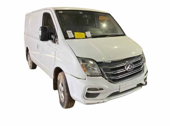 LDV V80